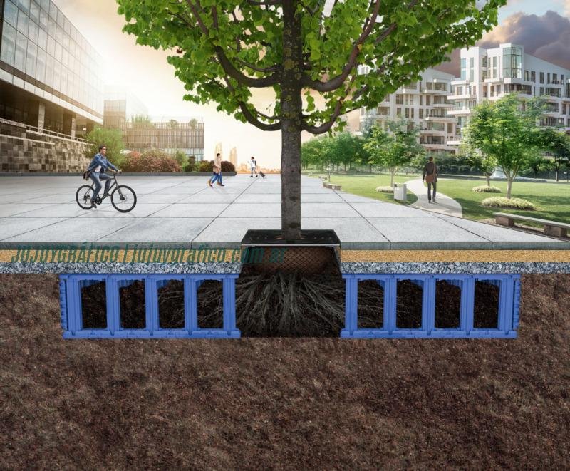Biodiversidad La importancia de la biodiversidad urbana y cómo conservarla4 Biodiversidad La importancia de la biodiversidad urbana y cómo conservarla4